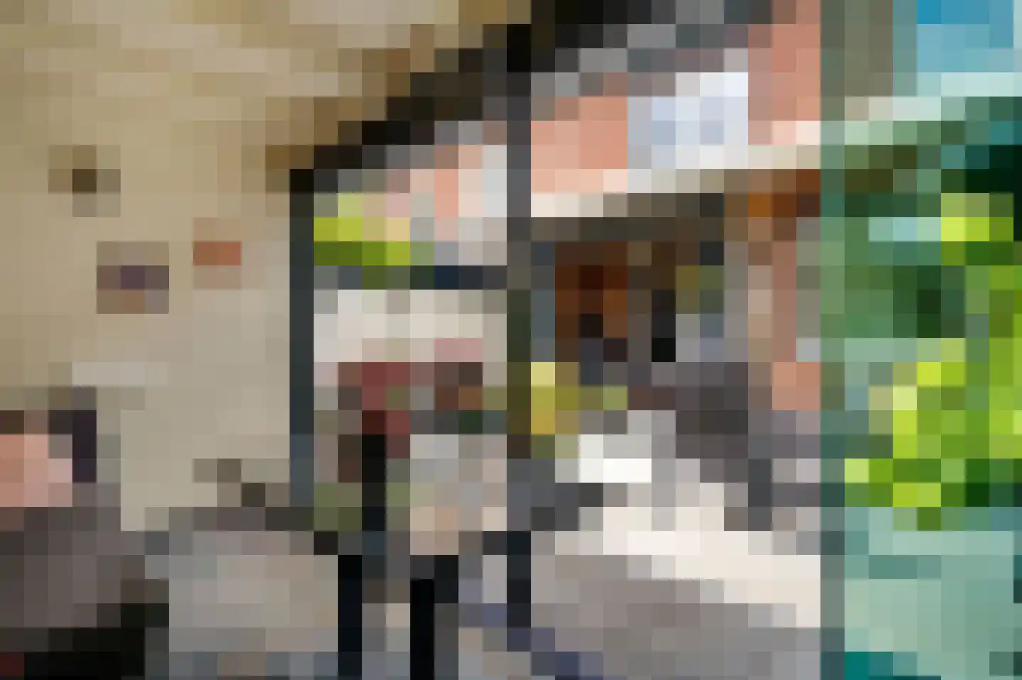 Oogststraat 8 Weert thumbnail 46