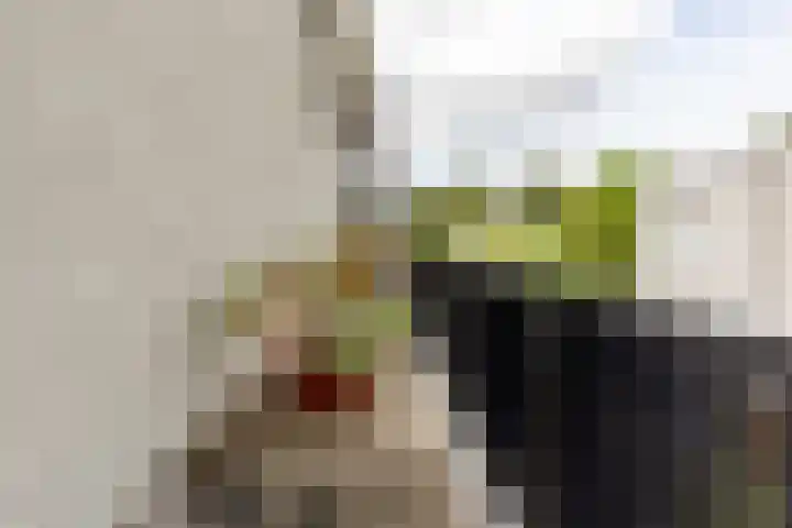 Oogststraat 84 Amsterdam thumbnail 13