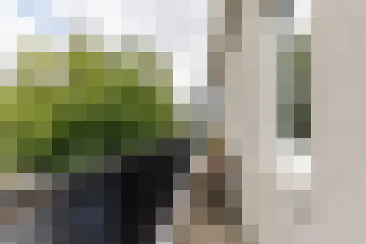 Oogststraat 84 Amsterdam thumbnail 14