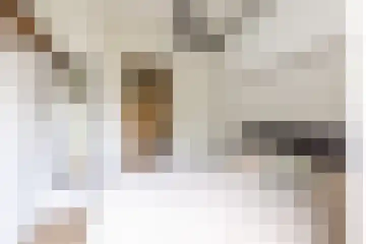 Oogststraat 84 Amsterdam thumbnail 16