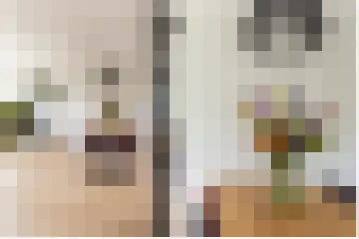 Oogststraat 84 Amsterdam thumbnail 7