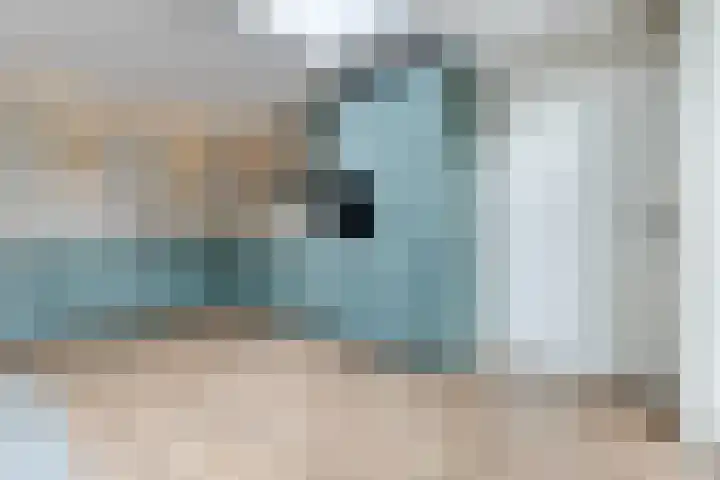 Oogstvelden 21 Best thumbnail 17