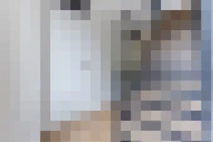 Oogstvelden 21 Best thumbnail 21