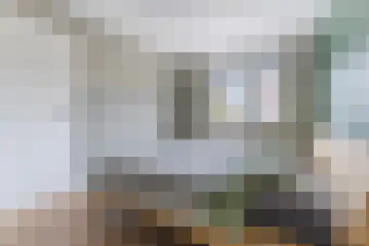 Oogstvelden 21 Best thumbnail 22