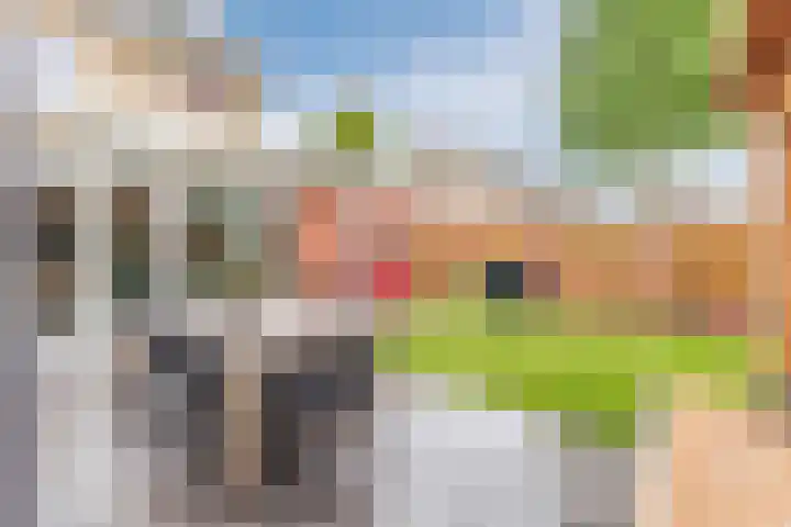 Oogstvelden 21 Best thumbnail 37
