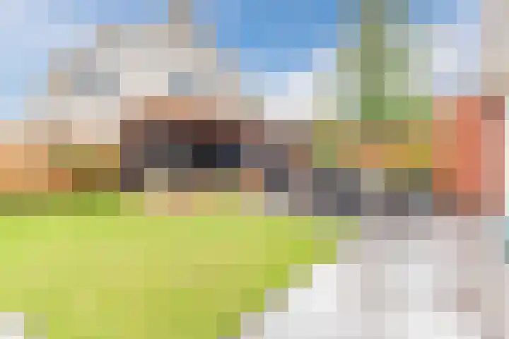 Oogstvelden 21 Best thumbnail 5