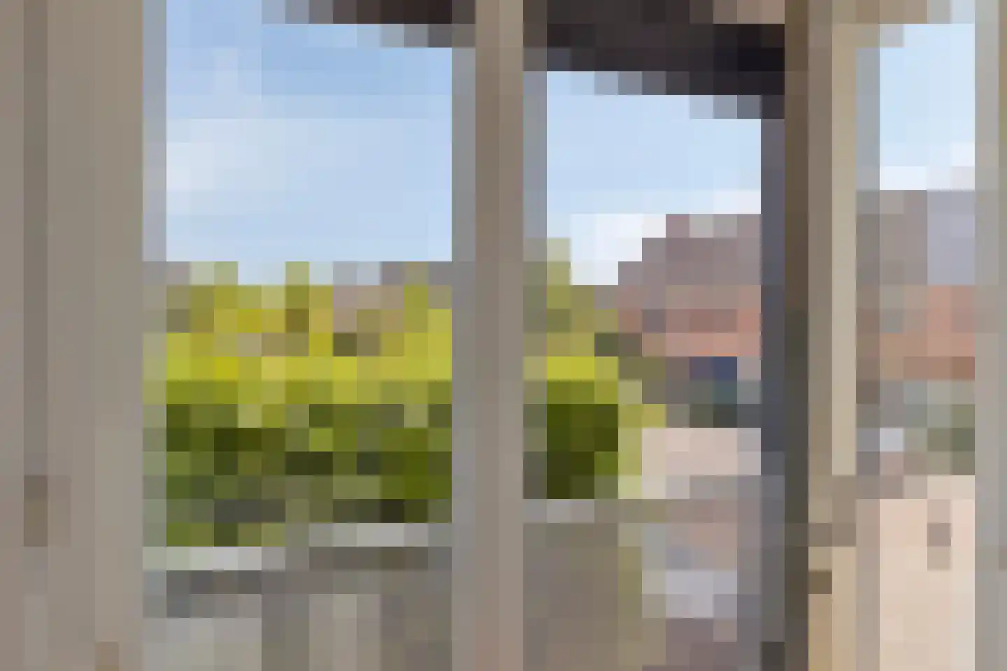Oogstvelden 38 Best thumbnail 25
