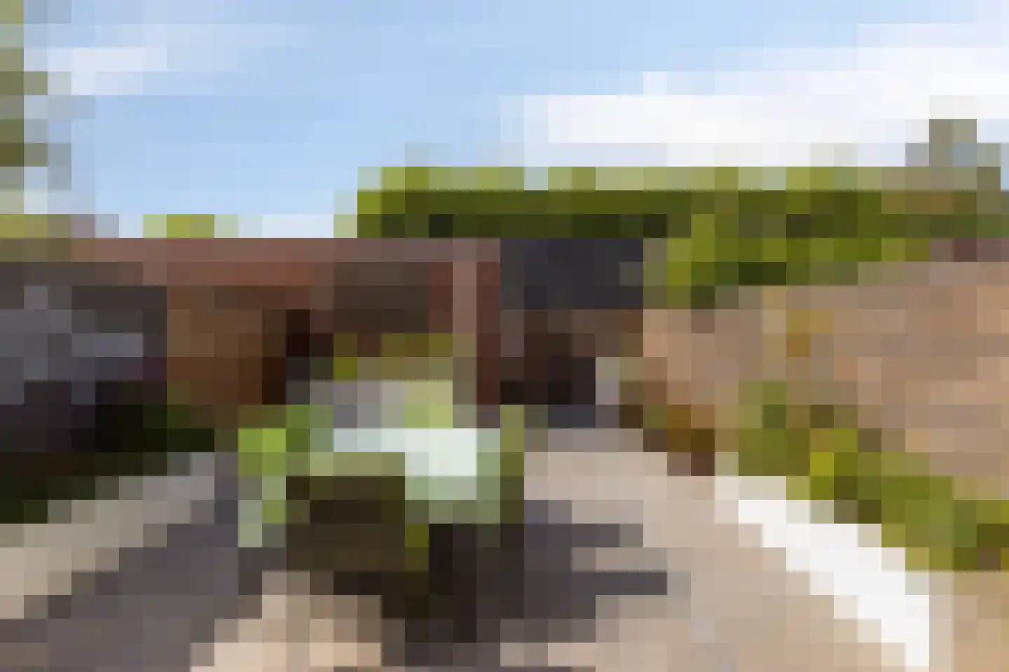 Oogstvelden 38 Best thumbnail 39