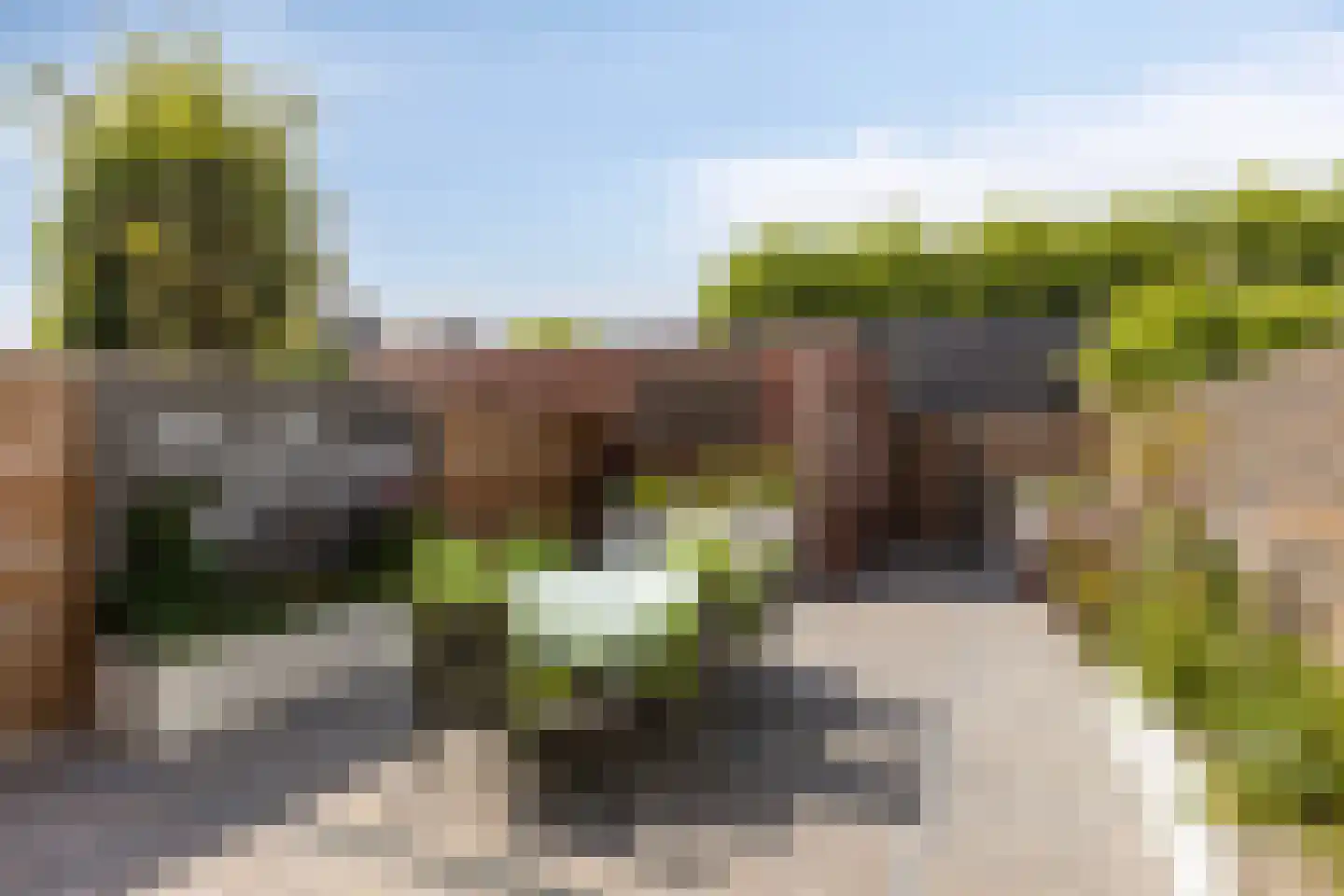 Oogstvelden 38 Best thumbnail 40
