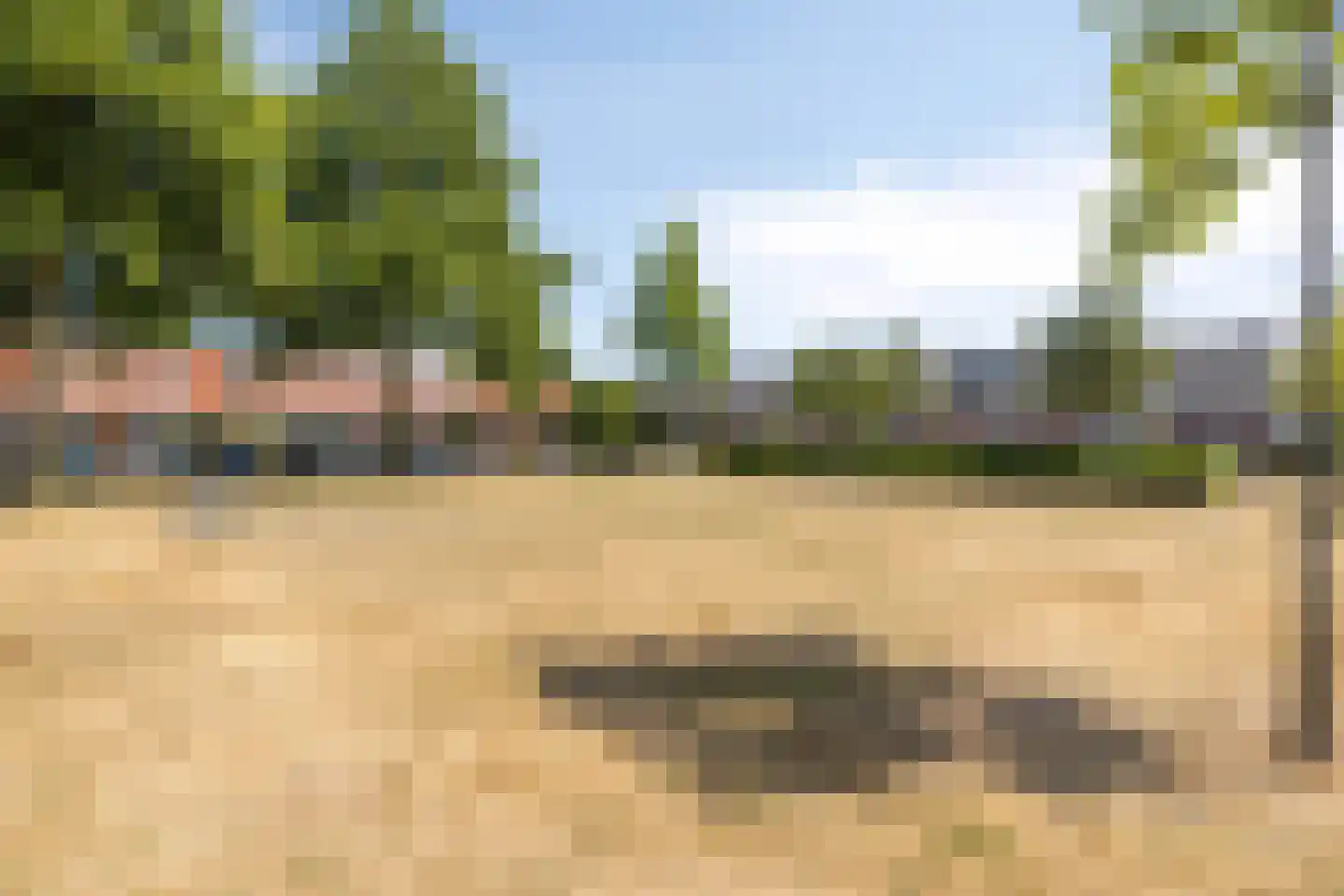 Oogstvelden 38 Best thumbnail 45