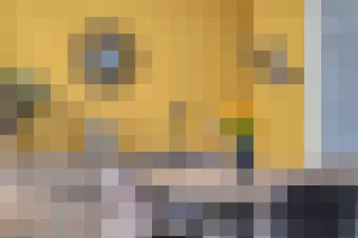 Oogstweg 13 Heerlen thumbnail 10