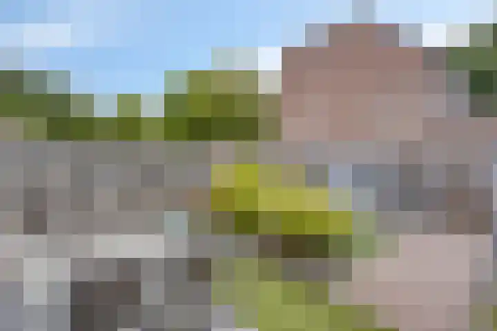 Oogstweg 13 Heerlen thumbnail 27