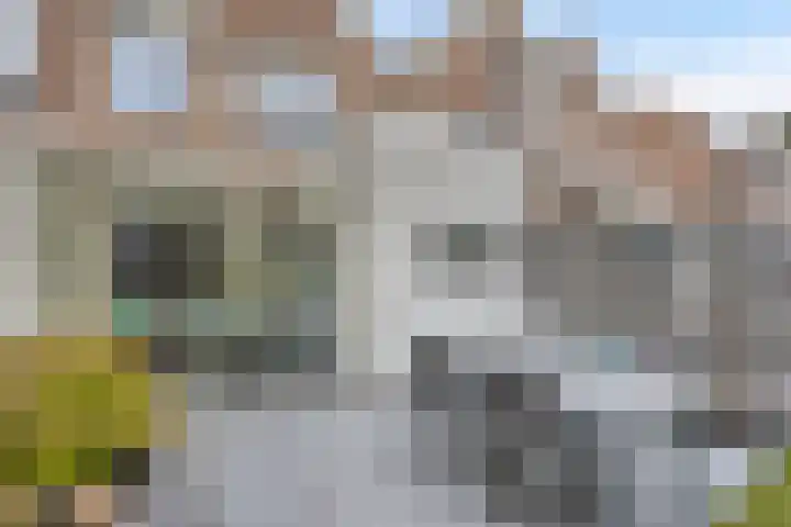Oogstweg 13 Heerlen thumbnail 28