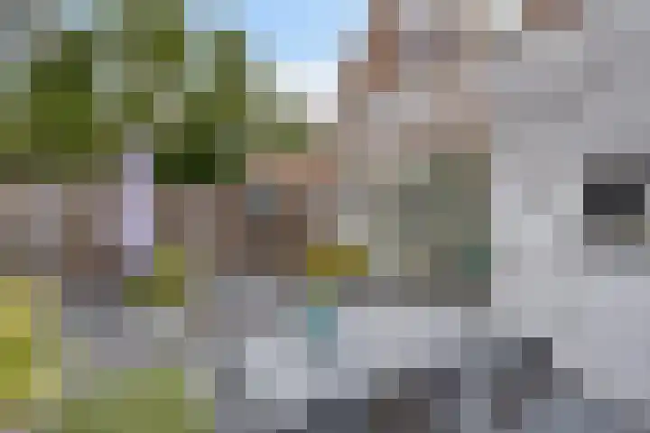 Oogstweg 13 Heerlen thumbnail 29