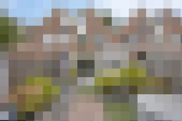 Oogstweg 13 Heerlen thumbnail 32
