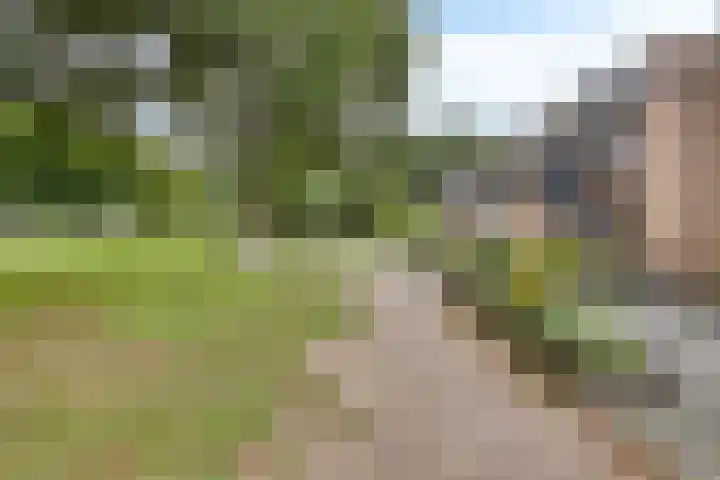 Oogstweg 13 Heerlen thumbnail 35