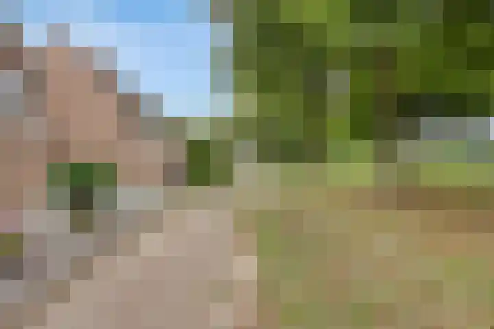 Oogstweg 13 Heerlen thumbnail 36