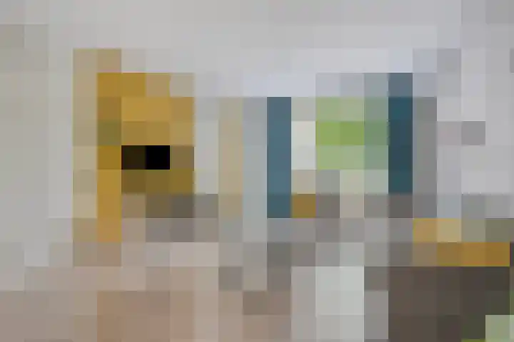 Oogstweg 13 Heerlen thumbnail 6