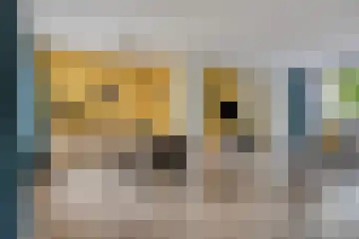 Oogstweg 13 Heerlen thumbnail 8