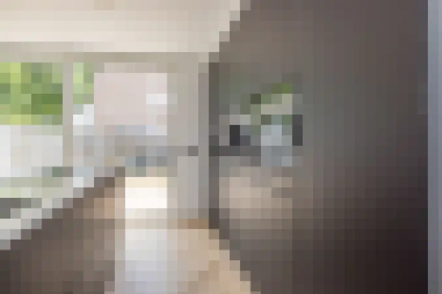 Oogstweg 15 Heerlen thumbnail 14