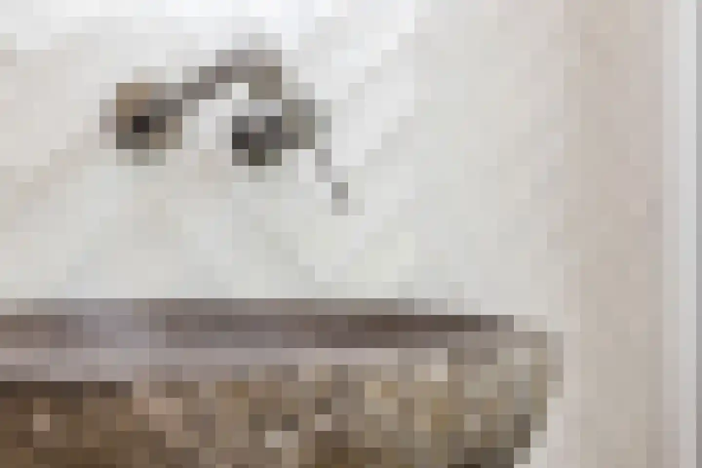 Oogstweg 15 Heerlen thumbnail 24