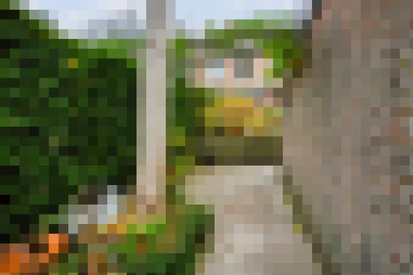 Oogstweg 25 Heerlen thumbnail 17