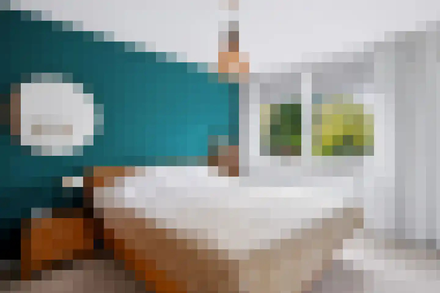 Oogstweg 25 Heerlen thumbnail 26