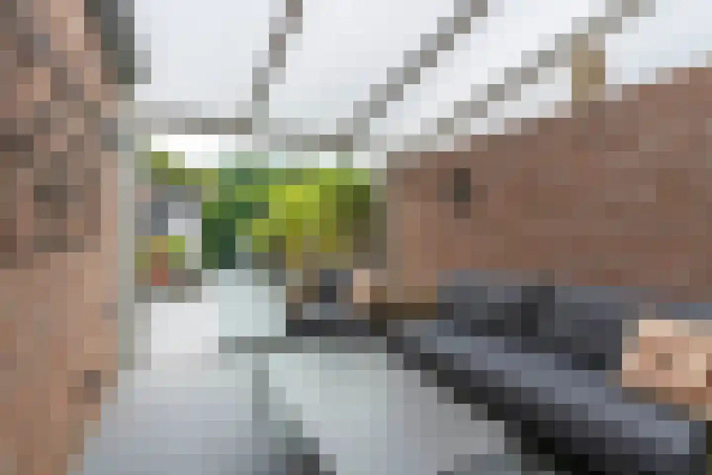 Oogstweg 59 Heerlen thumbnail 23
