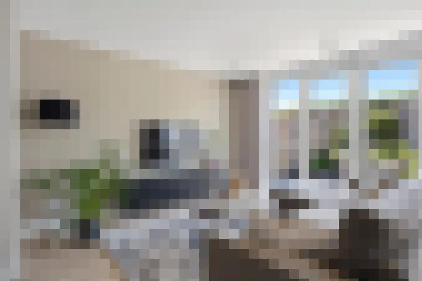 Ooievaar 19 Esch thumbnail 13