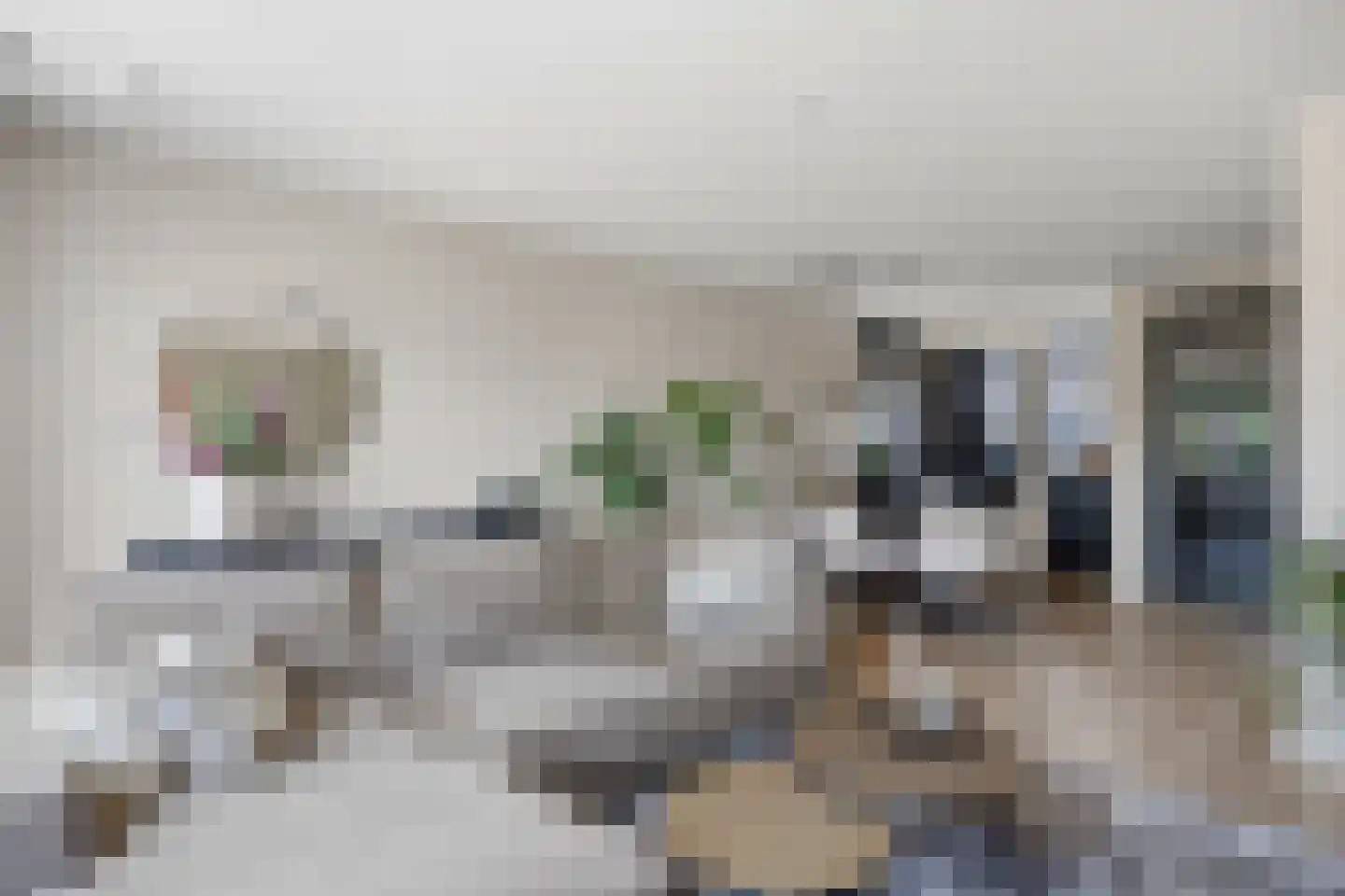 Ooievaar 19 Esch thumbnail 15
