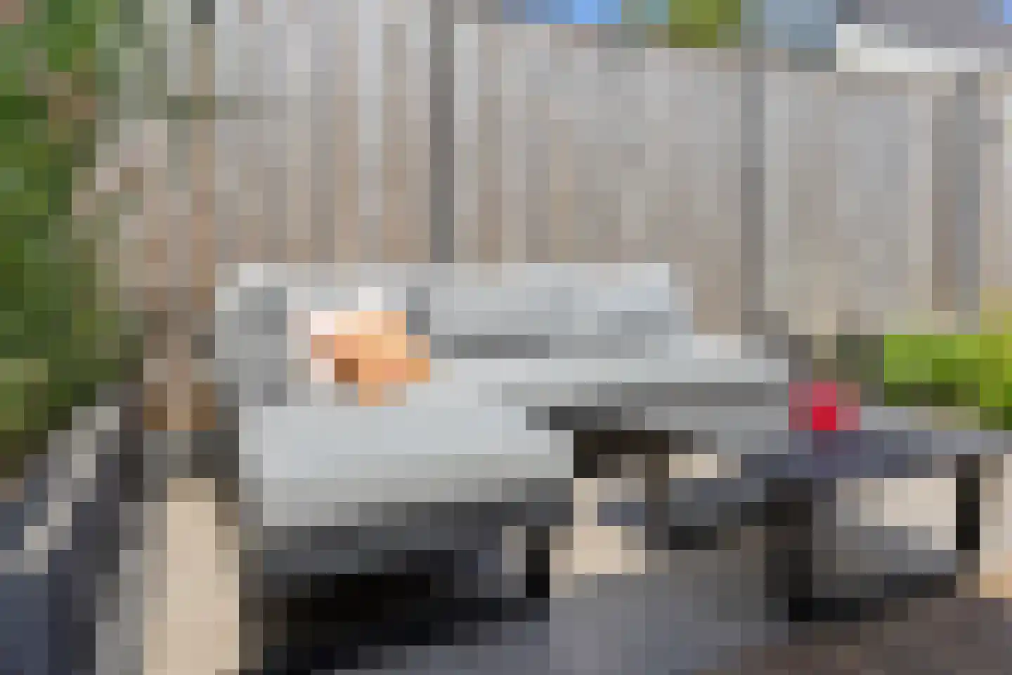 Ooievaar 19 Esch thumbnail 32