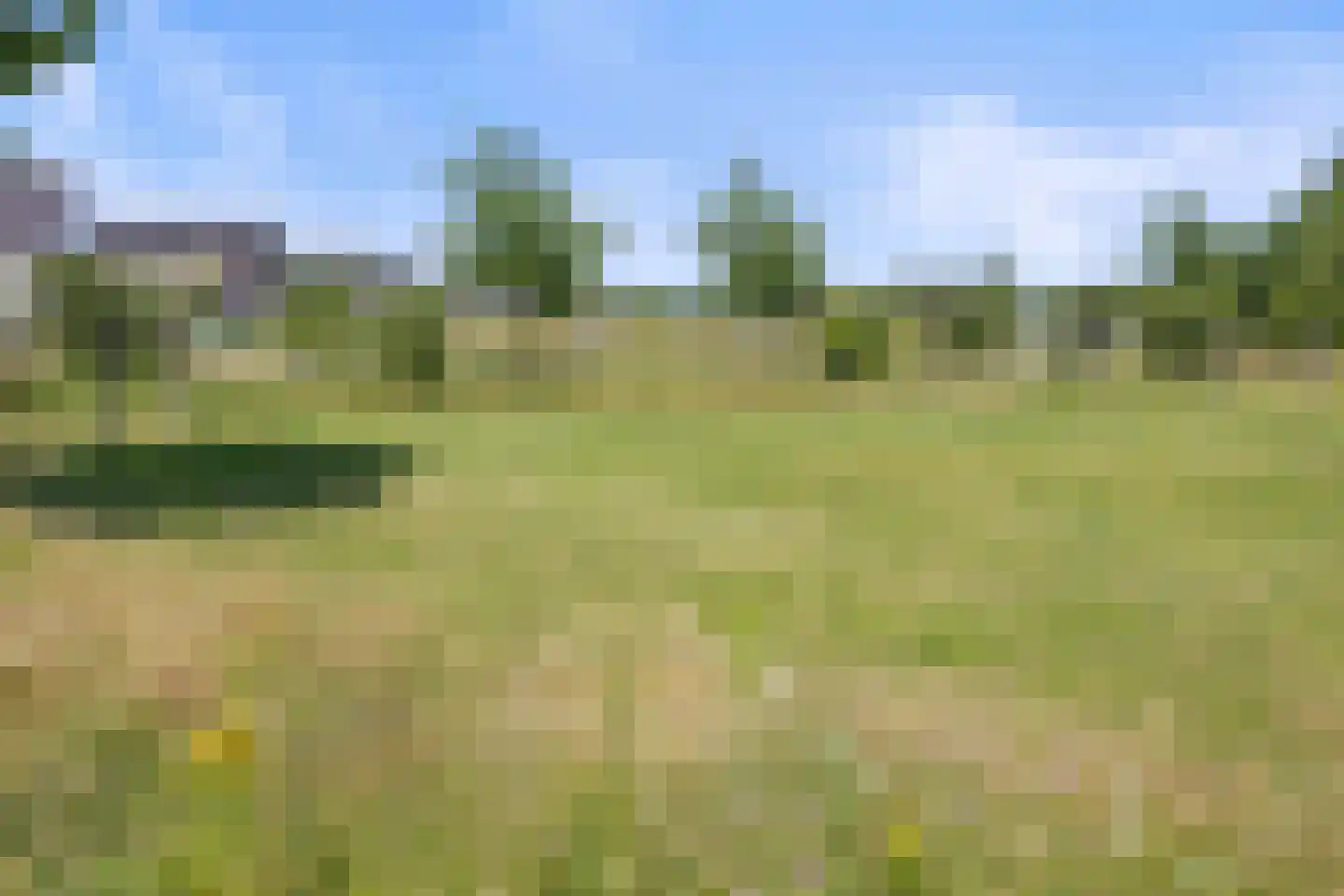 Ooievaar 19 Esch thumbnail 38
