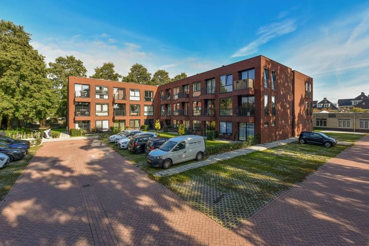 Ooievaar 2 en Mijdrecht foto