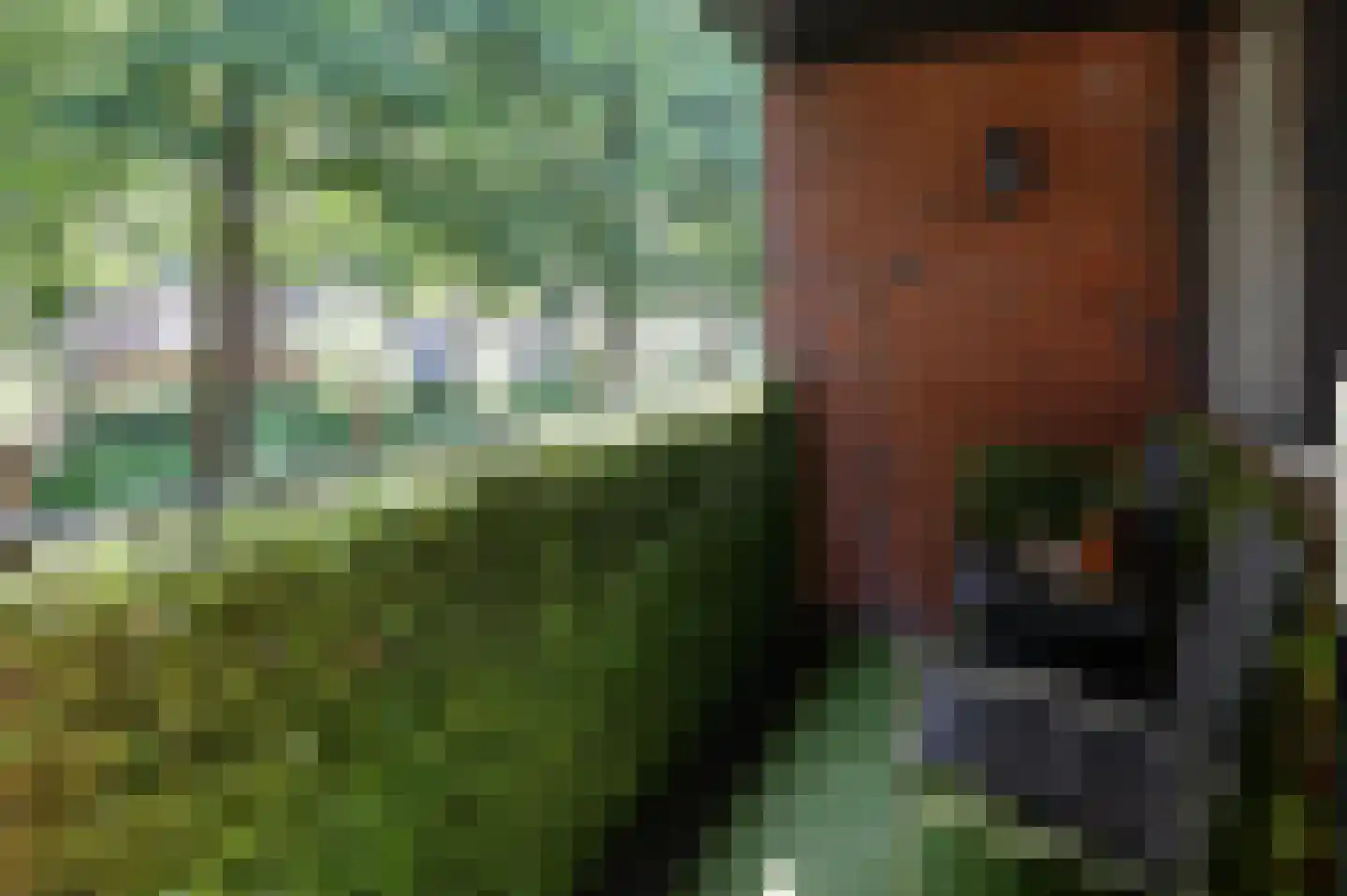 Ooievaar 20 Mijdrecht thumbnail 11