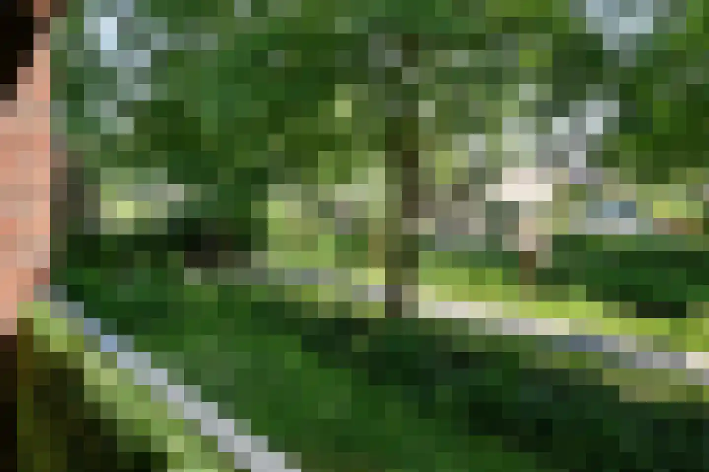 Ooievaar 20 Mijdrecht thumbnail 12
