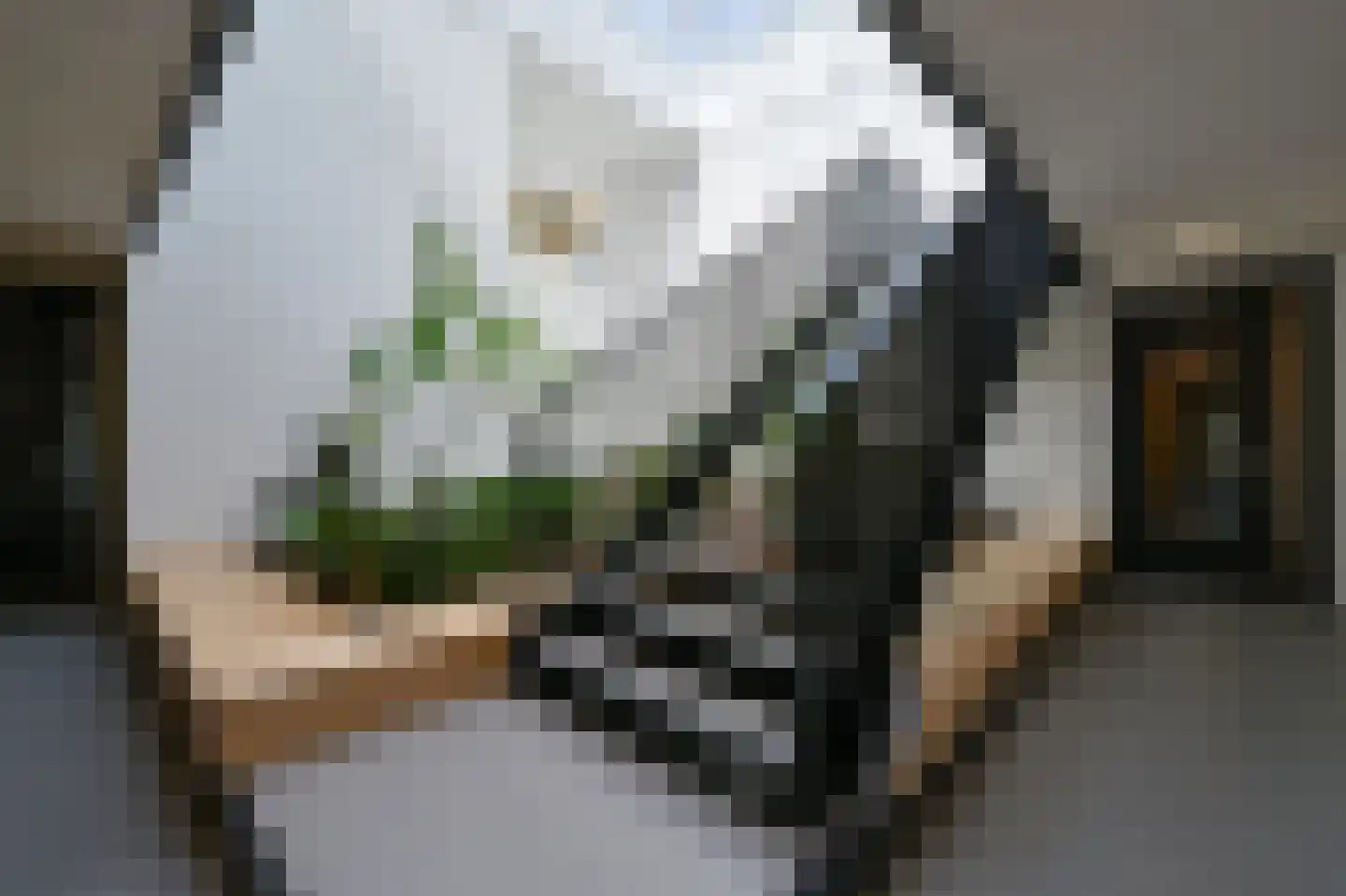 Ooievaar 20 Mijdrecht thumbnail 14