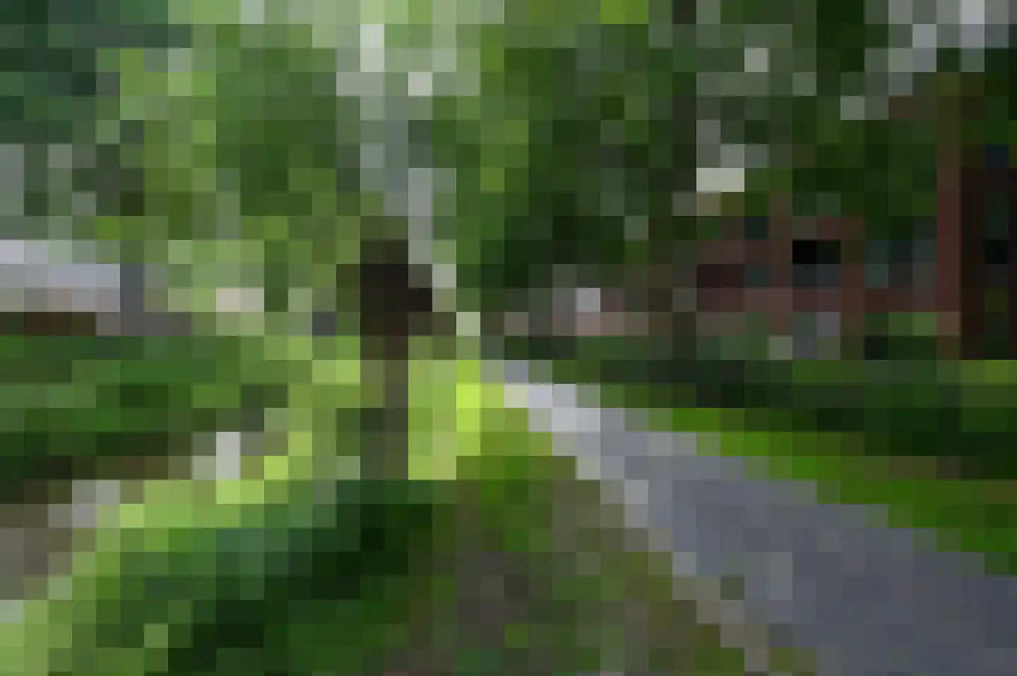 Ooievaar 20 Mijdrecht thumbnail 19