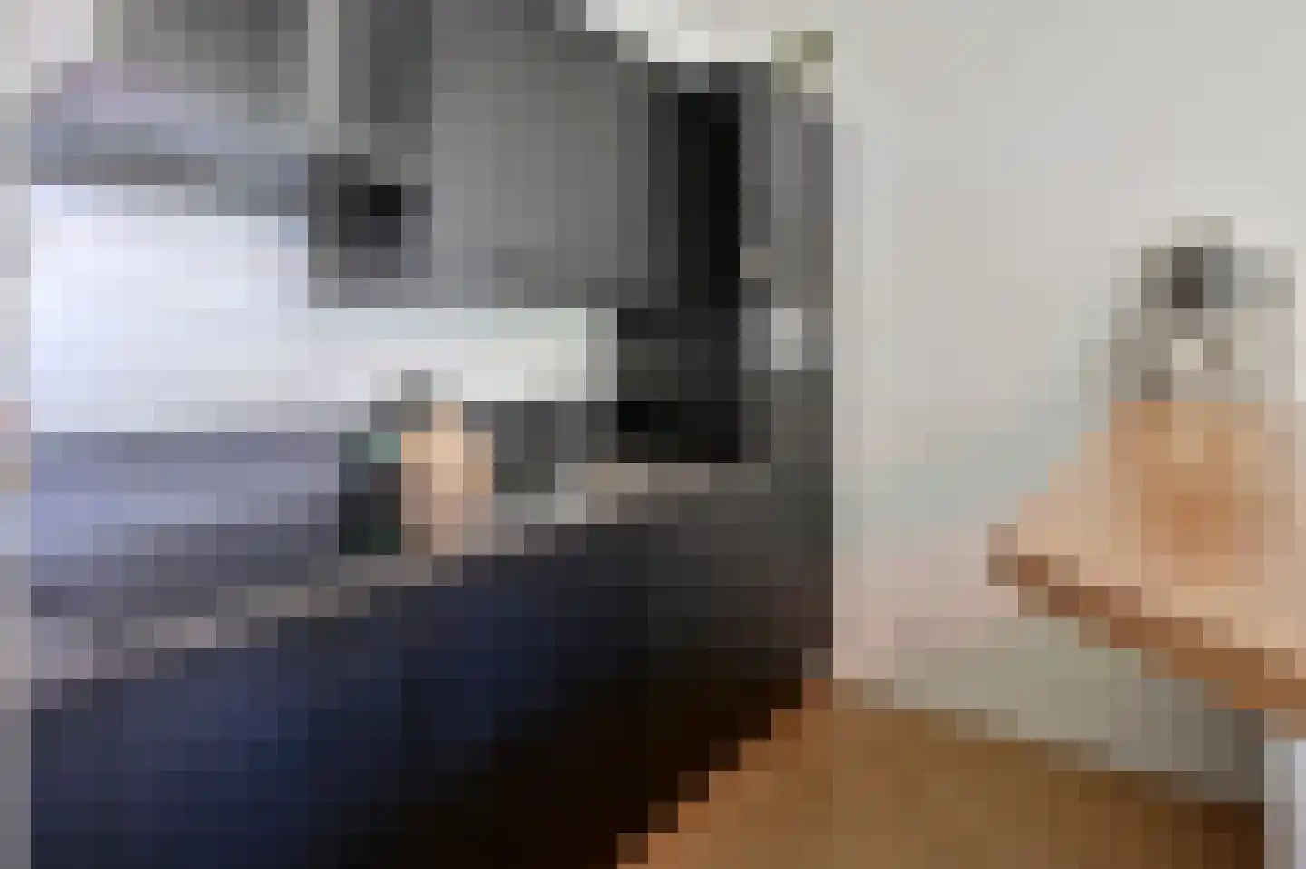 Ooievaar 20 Mijdrecht thumbnail 5