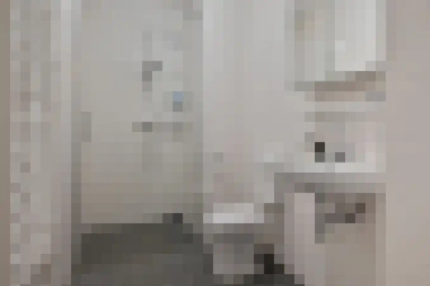 Ooievaar 20 Mijdrecht thumbnail 7
