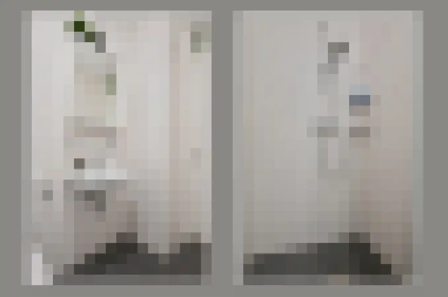 Ooievaar 20 Mijdrecht thumbnail 8