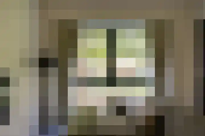 Ooievaar 23 Mijdrecht thumbnail 10