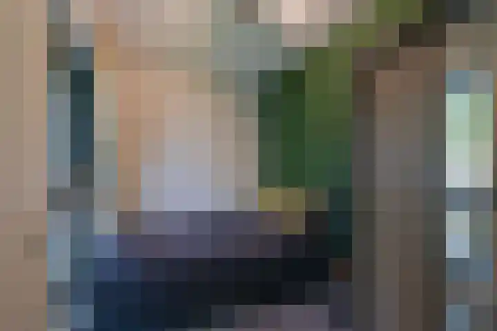Ooievaar 23 Mijdrecht thumbnail 14