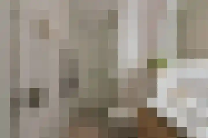 Ooievaar 23 Mijdrecht thumbnail 15