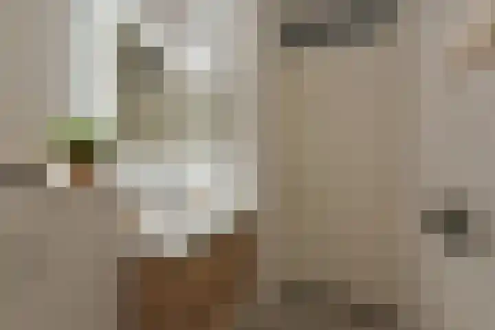 Ooievaar 23 Mijdrecht thumbnail 16