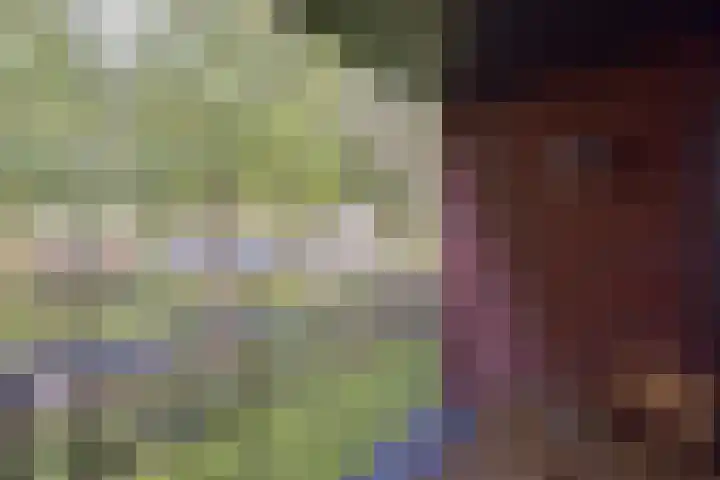 Ooievaar 23 Mijdrecht thumbnail 17