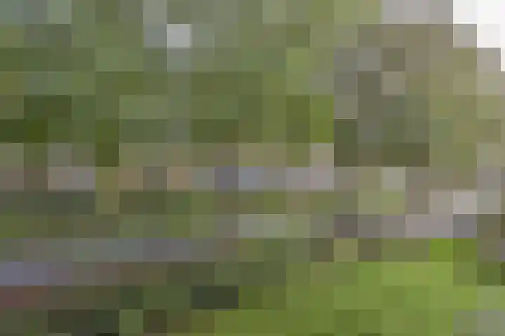 Ooievaar 23 Mijdrecht thumbnail 19