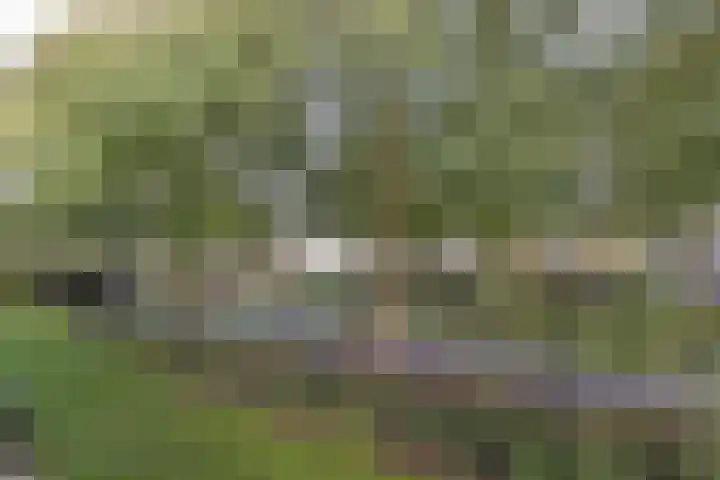 Ooievaar 23 Mijdrecht thumbnail 20