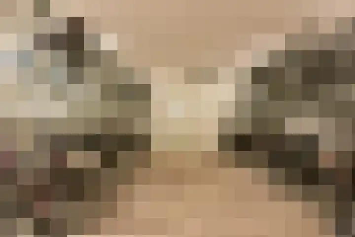 Ooievaar 23 Mijdrecht thumbnail 22