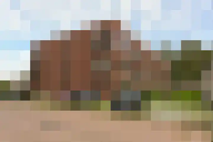Ooievaar 23 Mijdrecht thumbnail 23
