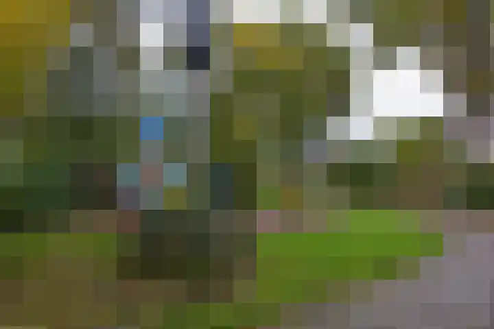 Ooievaar 23 Mijdrecht thumbnail 24